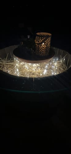Customer photo review of Smart LED Christmas Tree Lights