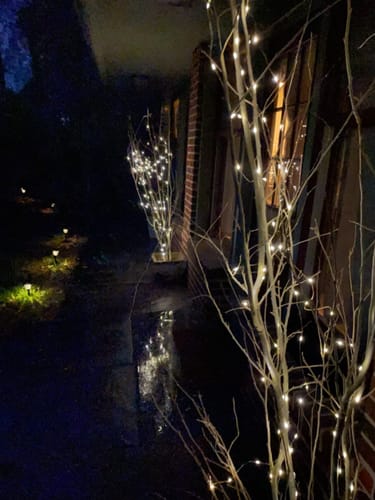 Customer photo review of Smart LED Christmas Tree Lights