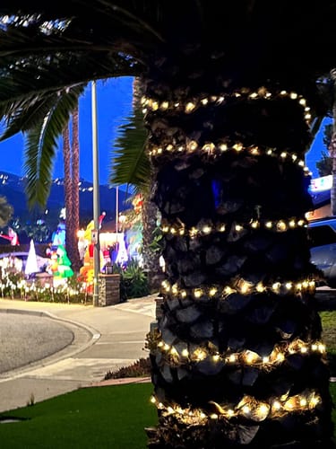 Customer photo review of Smart LED Christmas Tree Lights
