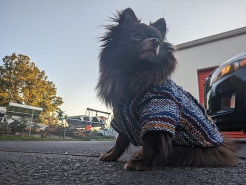 Customer photo review of Playa Poncho - Surprise Color