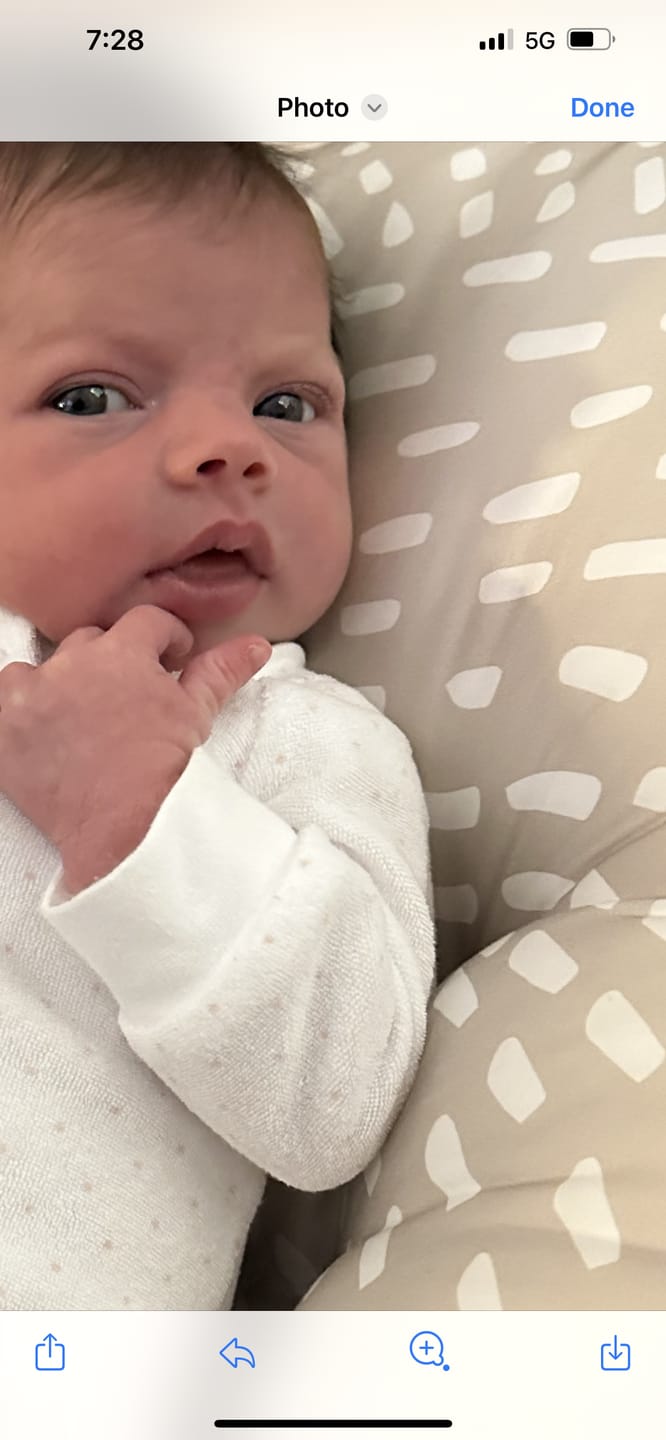 Customer photo review of Cushii Lounger Wanderlust - Oatmilk