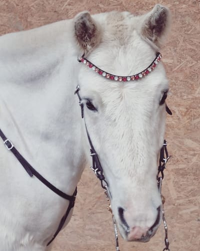 Customer photo review of Chunky Swarovski Berries and Cream