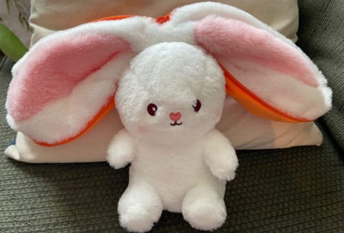 Customer photo review of Bunny Bites™