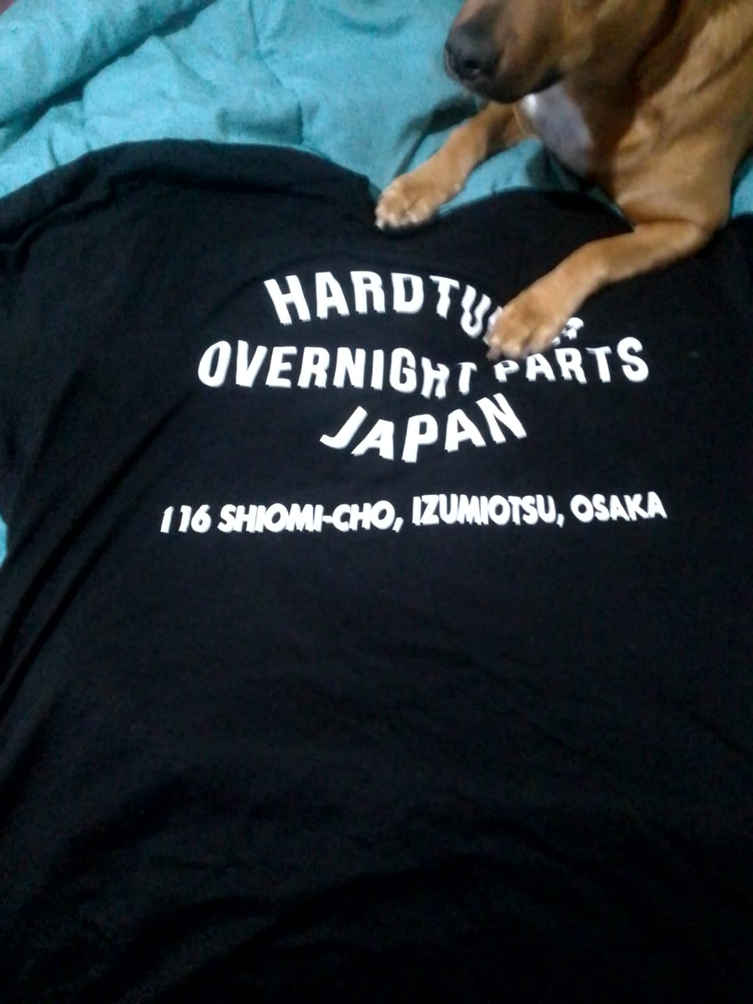 Customer photo review of Overnight Parts Tee