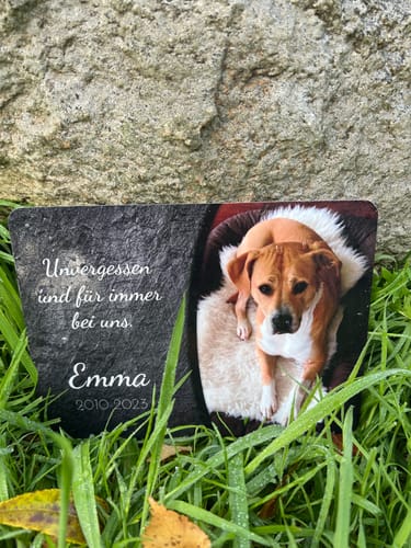 Customer photo review of Hunde Gedenktafel mit Foto & Spruch (UV- UND WETTERFEST)