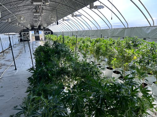 Customer photo review of Siren F3 Split