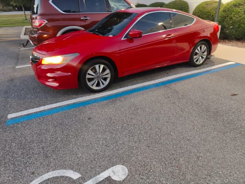 Customer photo review of Limited LGND38™ Pumpkin Spice Show-Shine