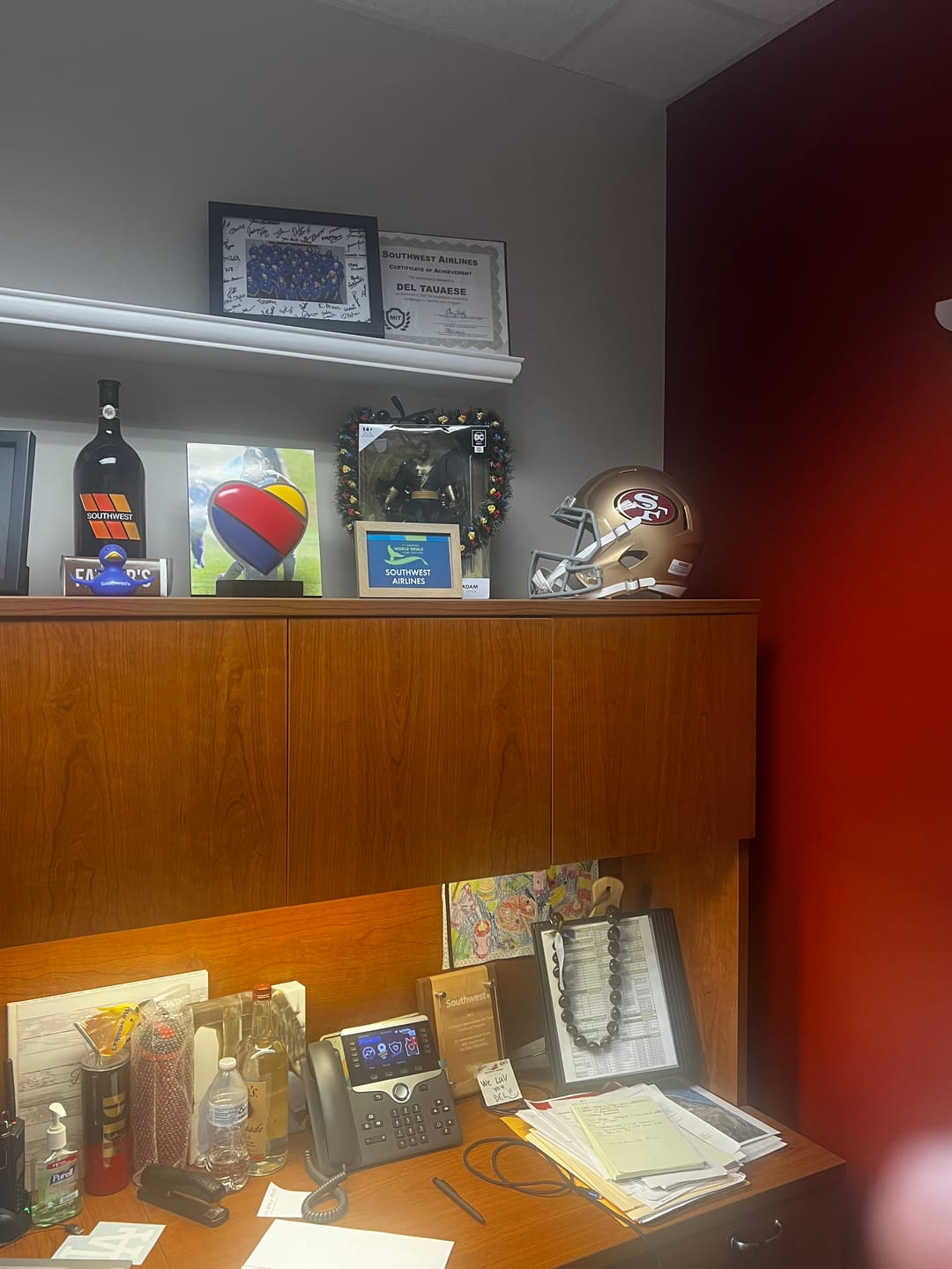 Customer photo review of San Francisco 49ers Riddell Speed Full Size Replica Football Helmet