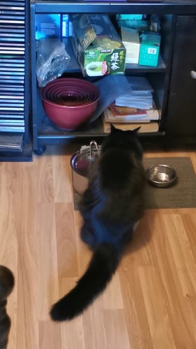 Customer photo review of Surprise Gift