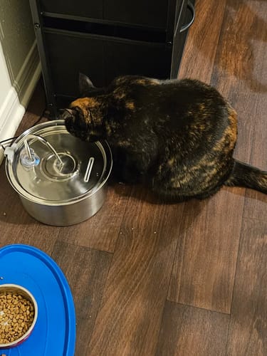 Customer photo review of Surprise Gift