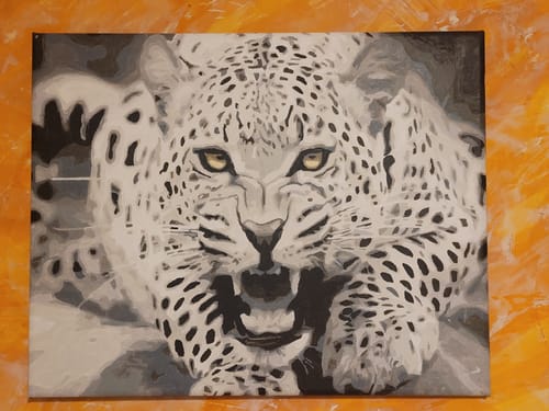 Customer photo review of Malen nach Zahlen - 2 Überraschungsbilder