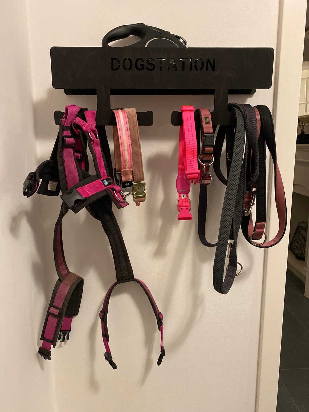 Customer photo review of PERSONALISIERUNG: Hundegarderobe XL