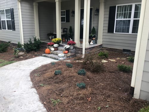 Customer photo review of Blue Star Juniper 1 Gallon