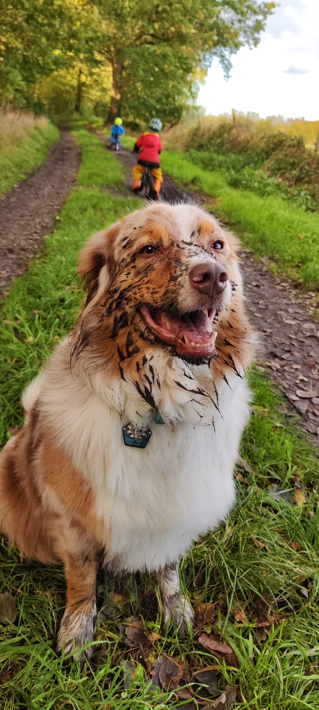 Customer photo review of The Tide - Limited QuickSlip™ Collar