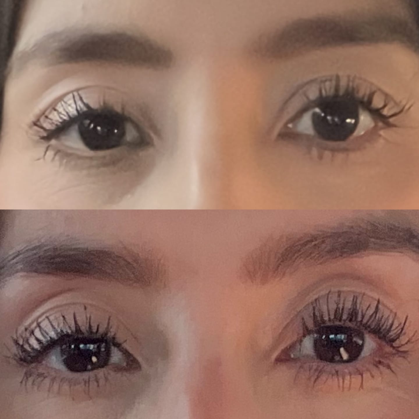 Customer photo review of SUPER PACK PROSA