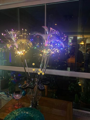 Customer photo review of Leddi™ FireFlies I Garden Light Solar Vandtæt