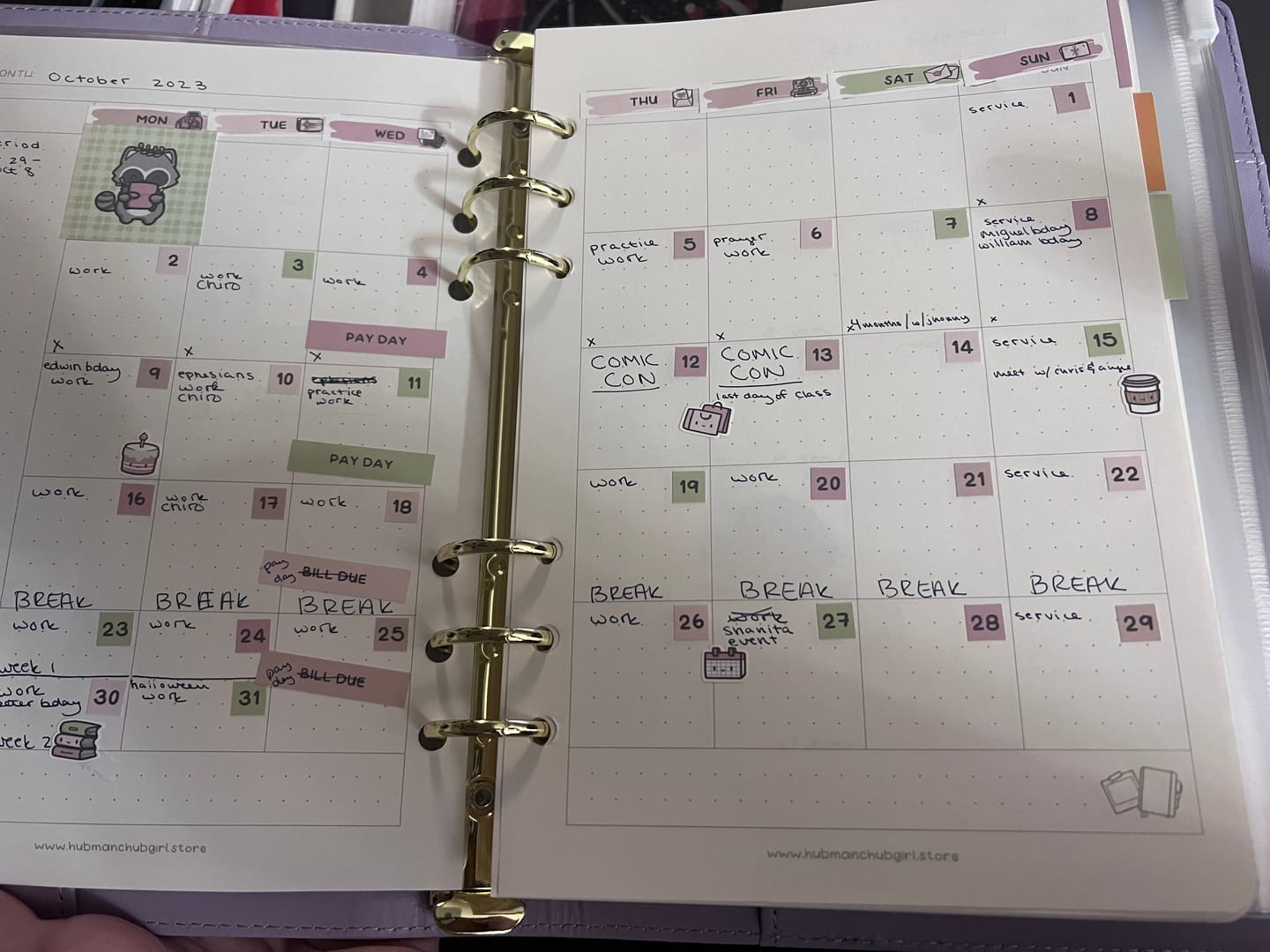 Customer photo review of Planner Inserts - Monthly