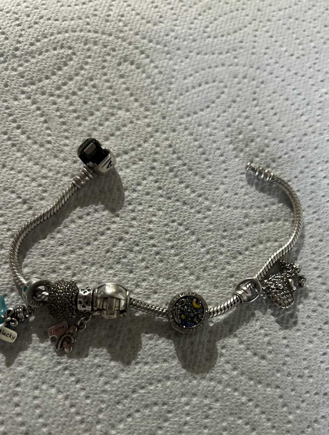 Customer photo review of Charm Noche Estrellada de Van Gogh
