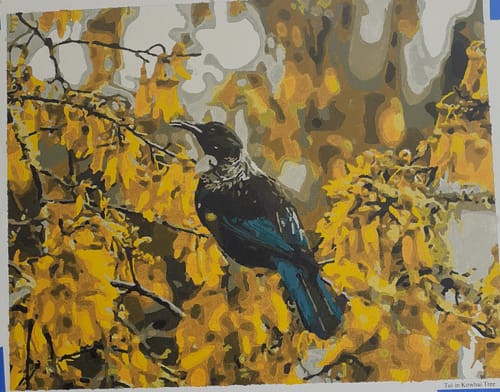 Customer photo review of Tui in Kowhai Tree