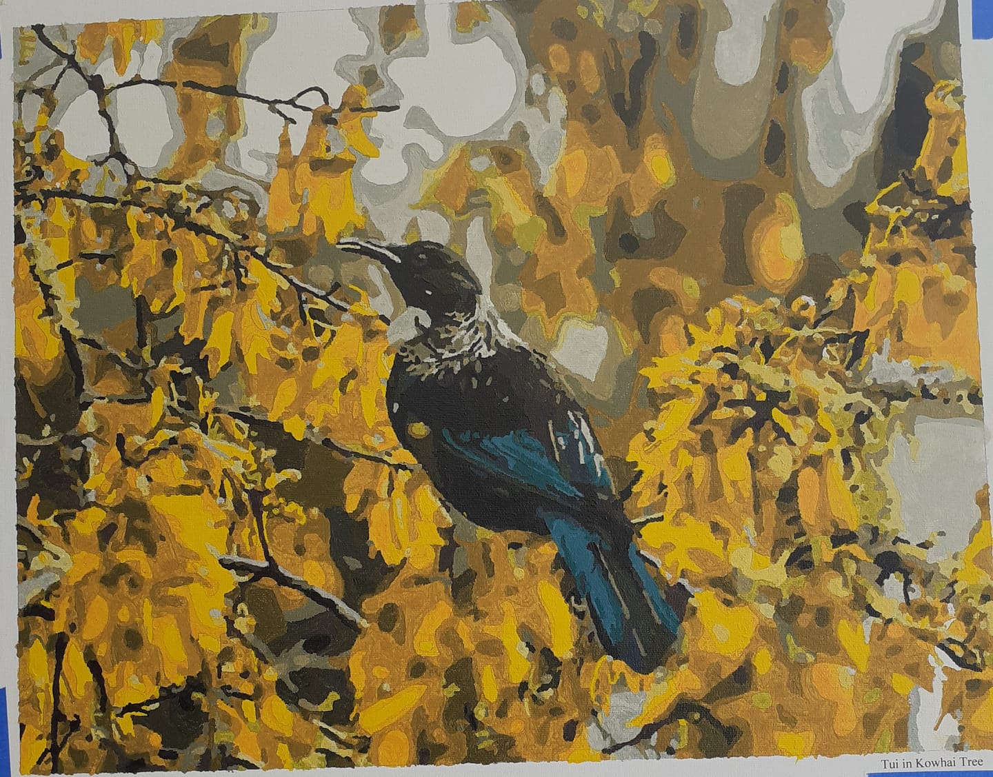 Customer photo review of Tui in Kowhai Tree
