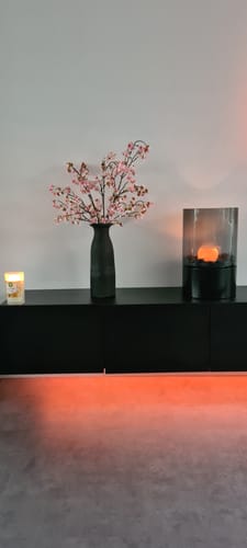 Customer photo review of Faux Bloesem - Neutraal roze (3 stengels)