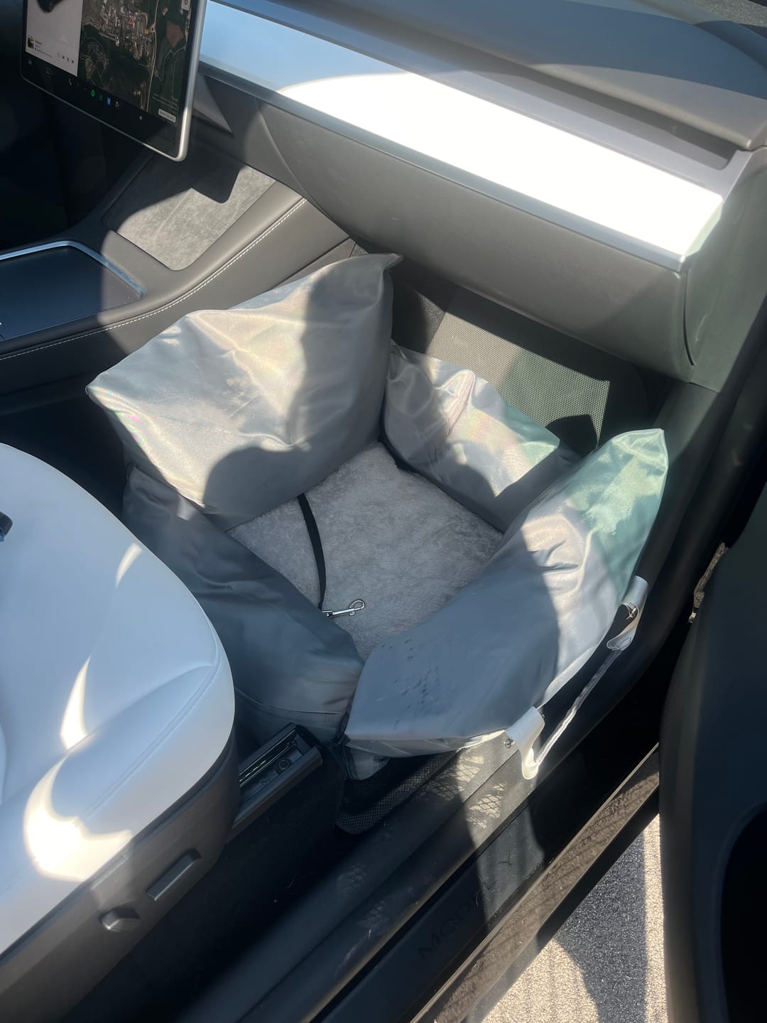 Customer photo review of Panier Pour Chien en Voiture