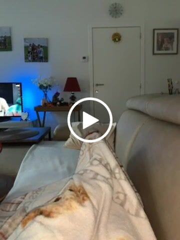 Customer video review of Purpose Vaas - Zwart