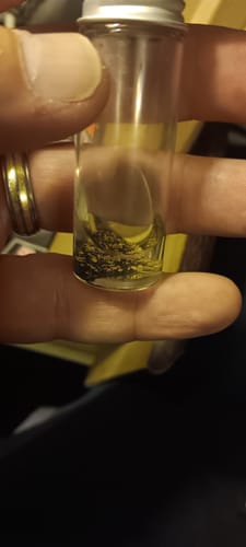 Customer photo review of Dutchman's 'SECRET NUGGET' Gold Paydirt - Gold Prospecting Concentrate