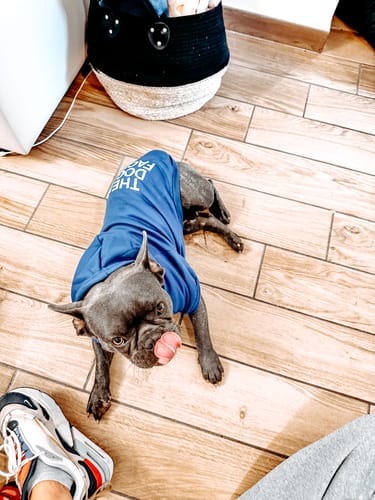 Customer photo review of Felpa "The Dog Face" Blu Personalizzabile con nome