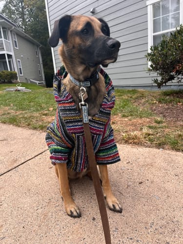 Customer photo review of Playa Poncho - Surprise Color