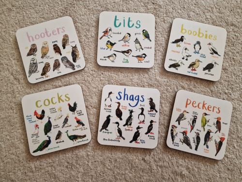 Customer photo review of Set of 6 Bird Pun Coasters