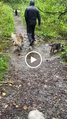 Customer video review of HEMY Waterproof Socks