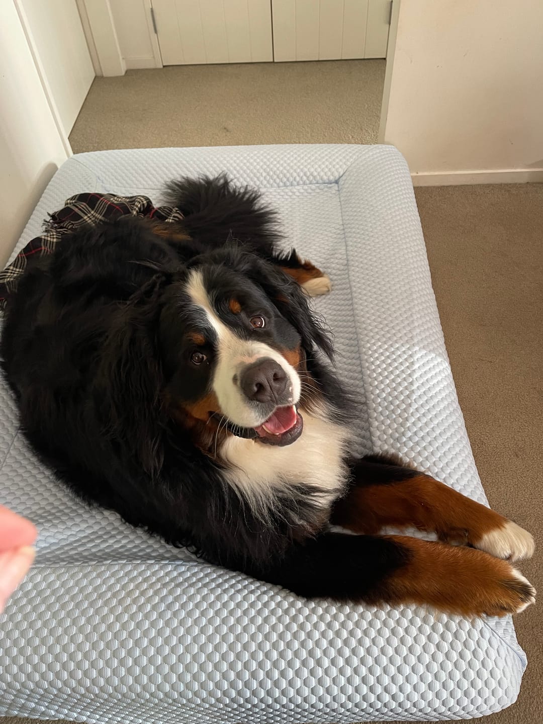 Customer photo review of Cooling Cover