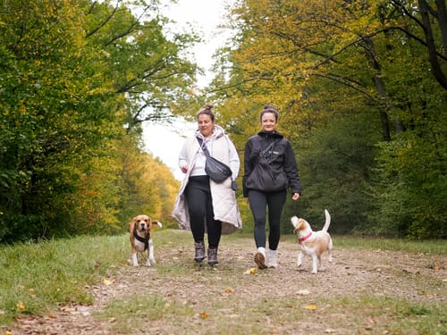 Customer photo review of Visibility Treat Bag Dark for Dog Owners