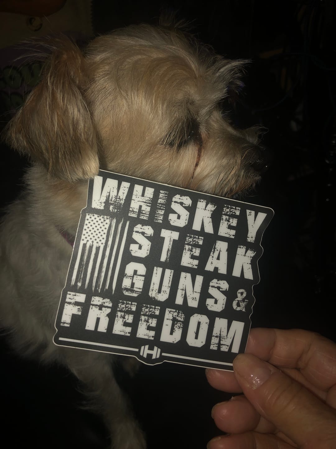 Customer photo review of Whiskey Steak Freedom Decal