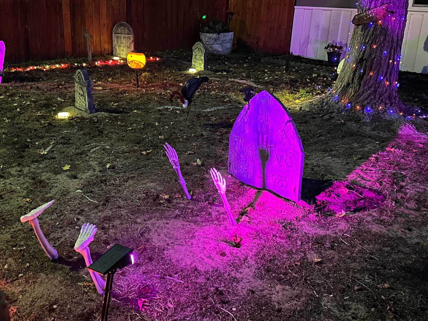 Customer photo review of RGB Solar Landscape Spotlights Waterproof