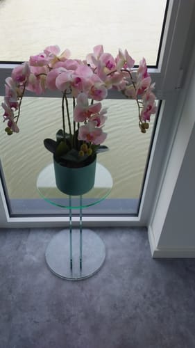 Customer photo review of Kunst Orchidee Lichtroze 70cm