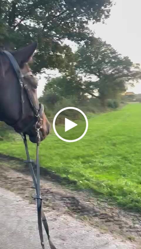 Customer video review of Kristallkraft Femmina