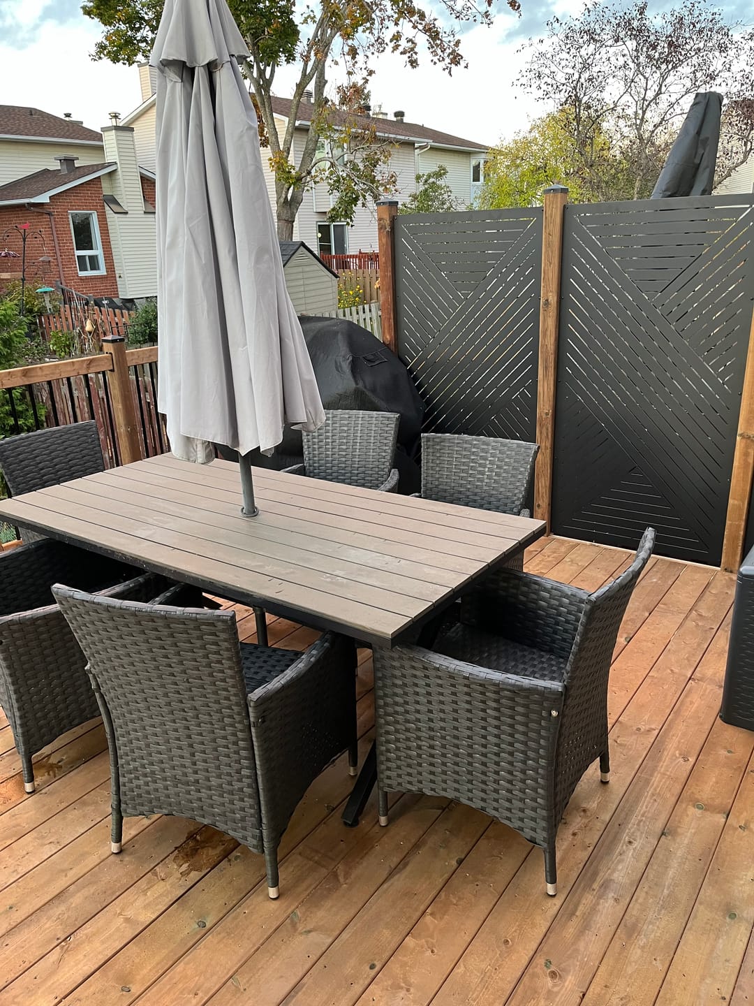 Customer photo review of Privacy Screen (Hexx)