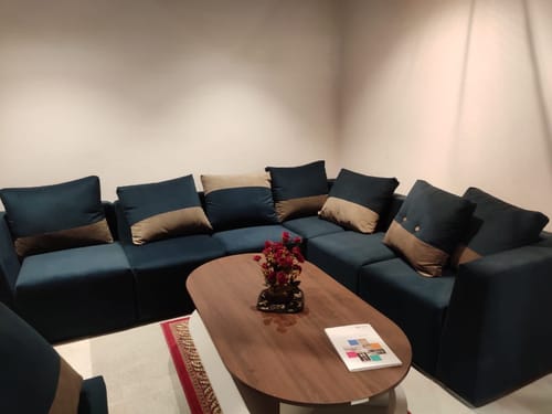 Customer photo review of Trendize Exclusive Stretchable Sofa Cover