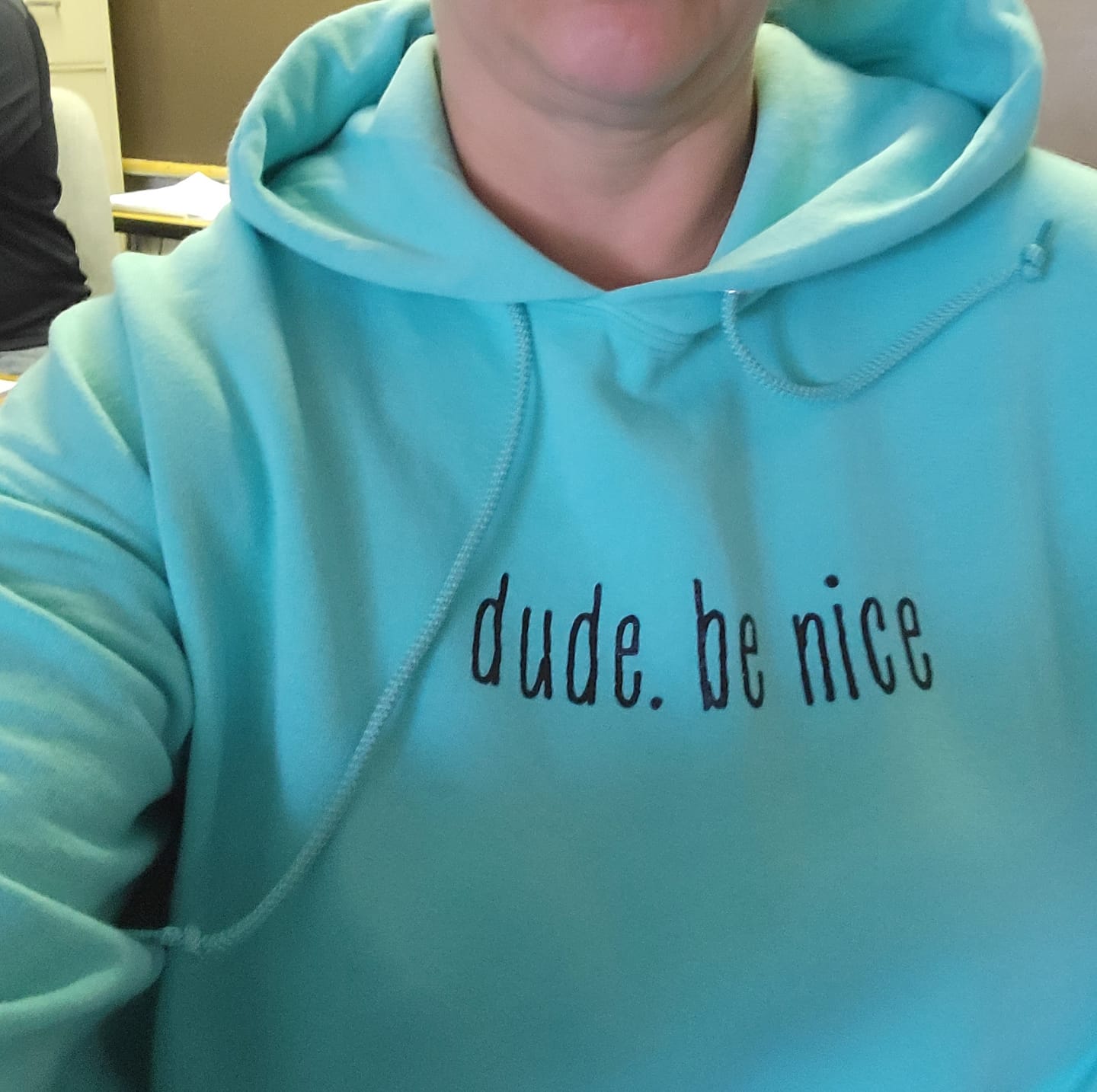 Customer photo review of dude. be nice Hoodie (Mint & Chip Collection)