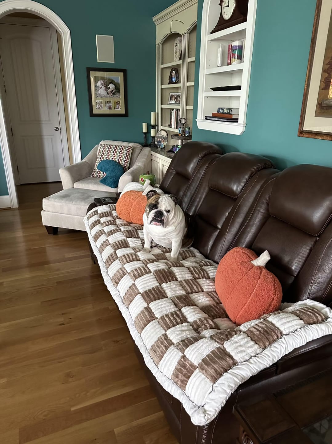 Customer photo review of Sofa Cover