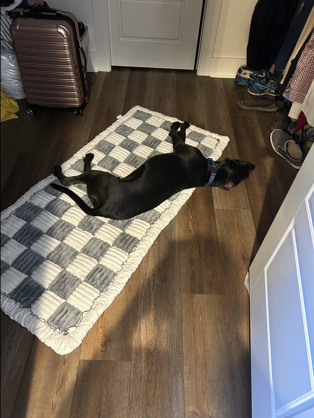 Customer photo review of Sofa Cover