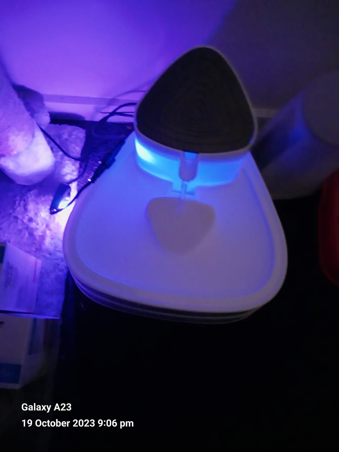 Customer photo review of PaWz Pet Water Fountain Dispenser 3L