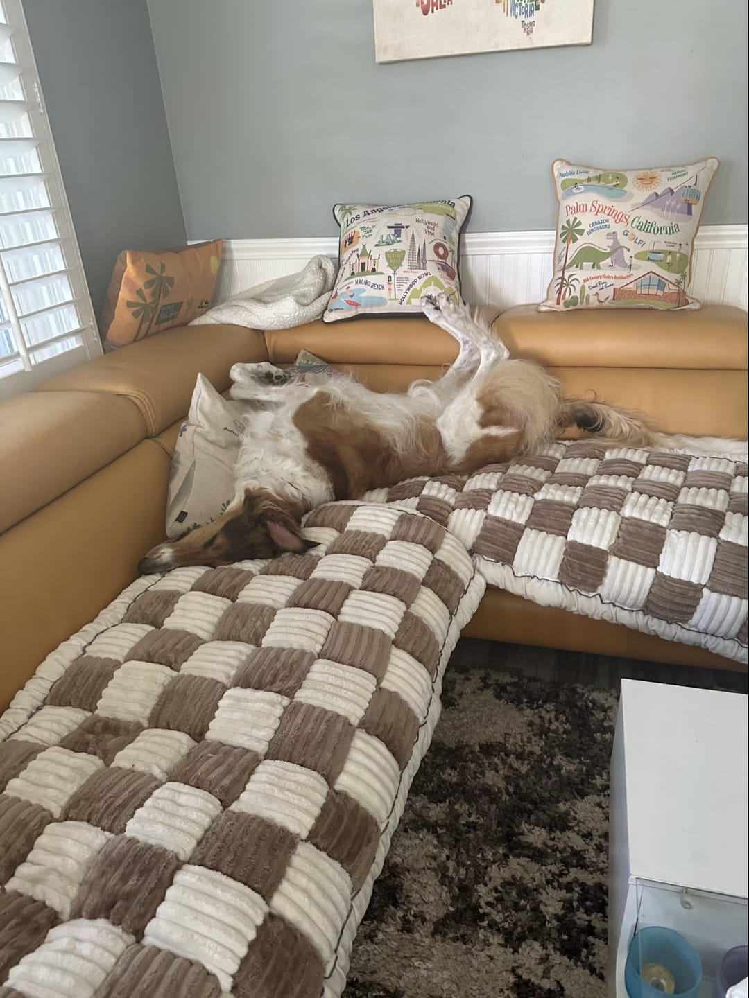 Customer photo review of Sofa Cover