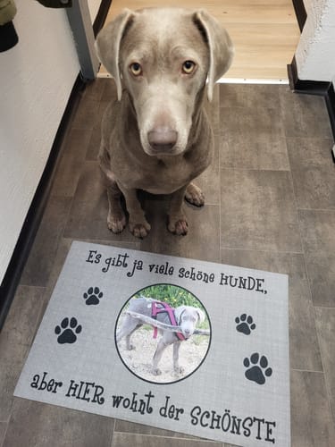 Customer photo review of Fußmatte Hund "Es gibt ja schöne Hunde" 66 x 44 cm
