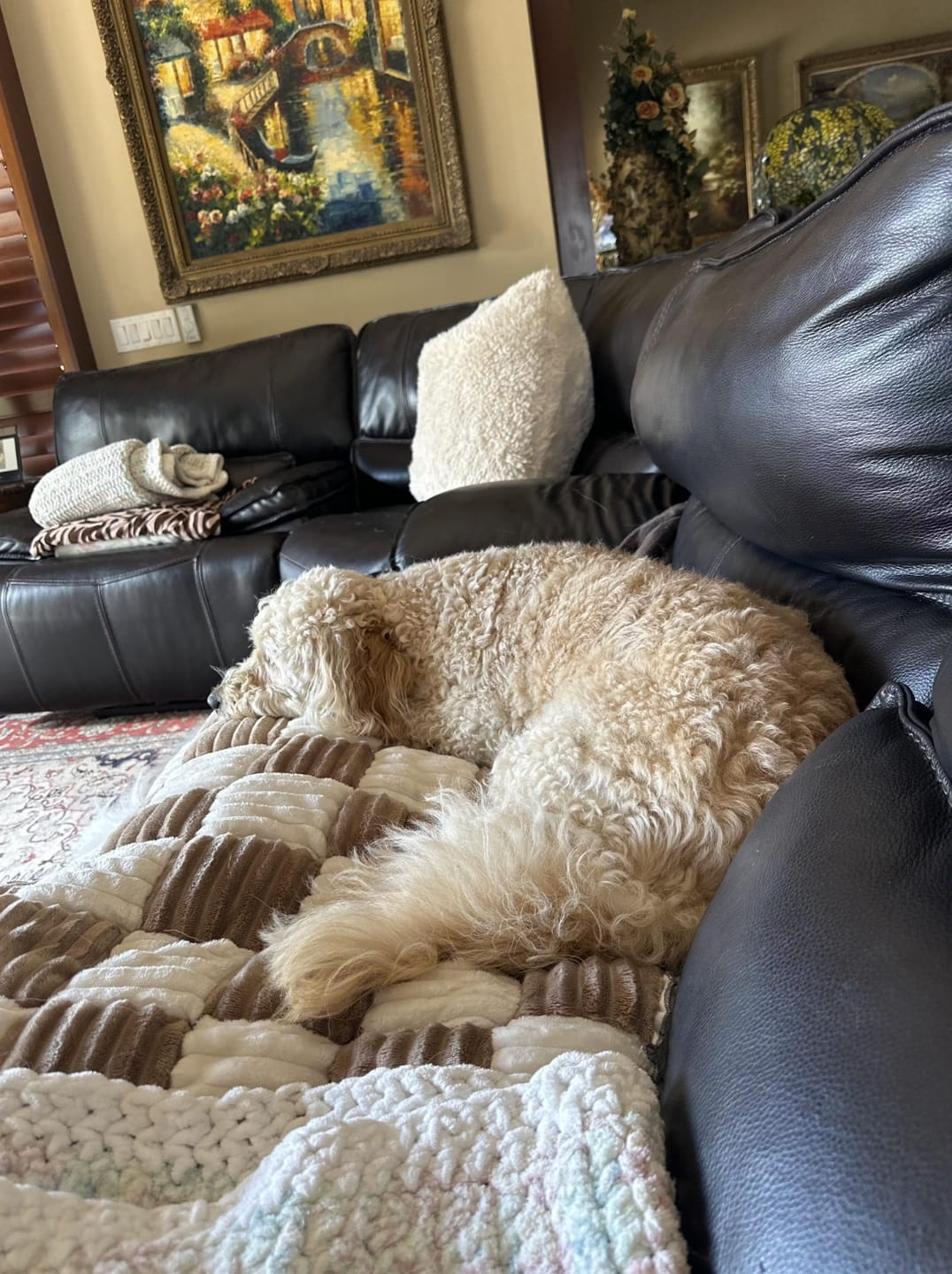 Customer photo review of Sofa Cover