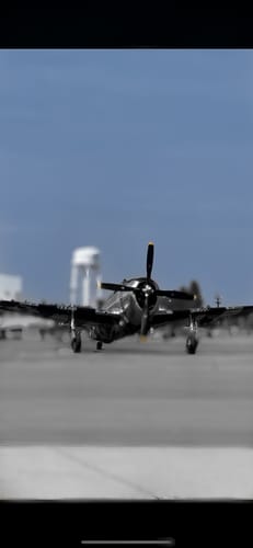 Customer photo review of Blessed Tee - Black