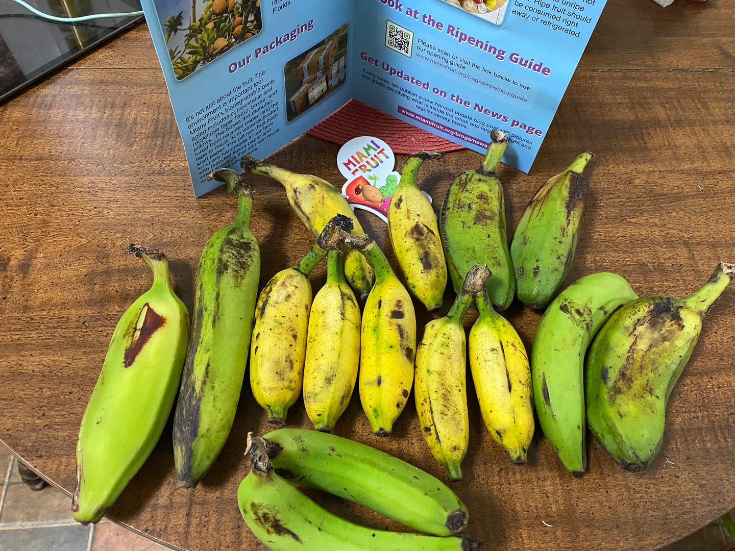 Customer photo review of Banana Variety Box