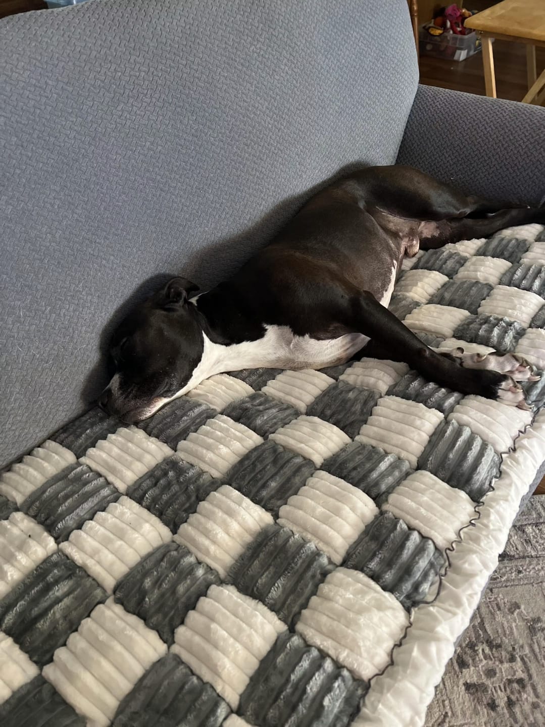 Customer photo review of Sofa Cover
